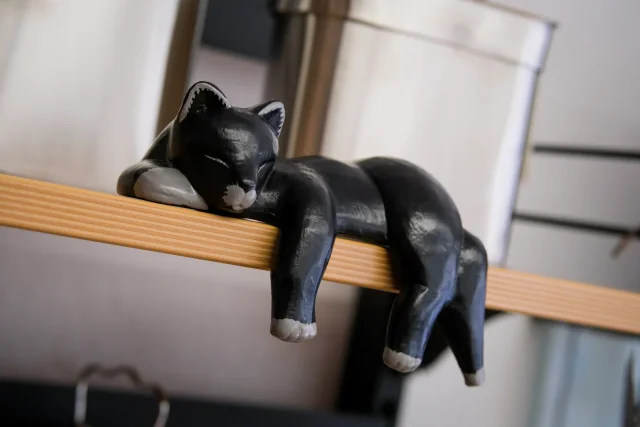 Katze im Eine-Welt-Laden