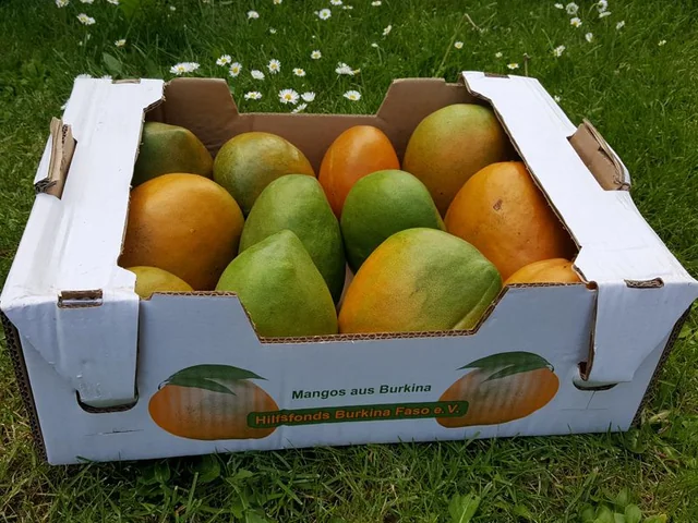 Kiste mit frischen Fair-Trade Mangos aus Burkina Faso